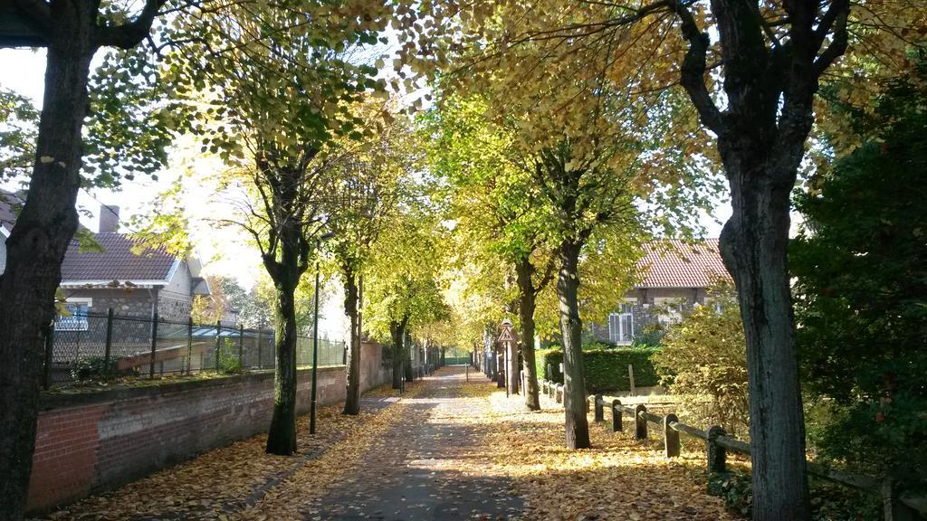 Les Gites De L'Ecole Buissonniere 朗斯 外观 照片